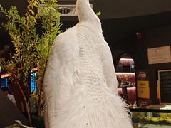 -滇野云南野生菌餐厅(陕西南路店)