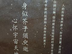 -正佳自然科学博物馆