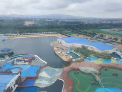 -秦皇岛乐岛海洋王国