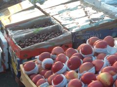 -江杨农产品批发市场