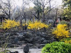 -大觉寺-停车场