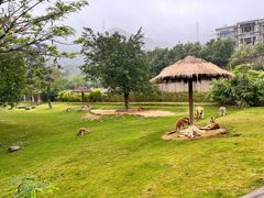 -泉州海丝野生动物世界