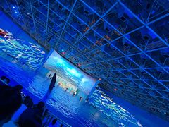 -海合安青岛极地海洋公园