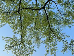 -文华公园(禅城区)