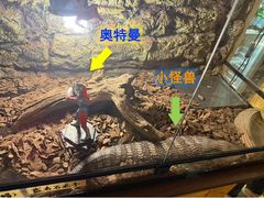 -闲·胡同 Barblu Hutong(雍和宫五道营店)