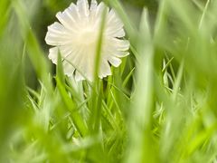 -杭州城北体育公园