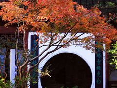 -上海醉白池公园