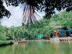 -西双版纳原始森林公园