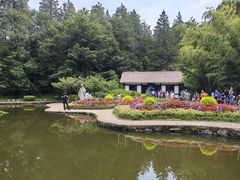 -庐山风景区花径公园