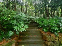 -杭州半山国家森林公园