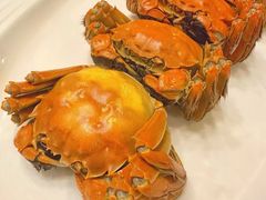 -黄鱼馆Jhouse(外滩店)
