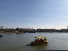 -上海长兴岛郊野公园