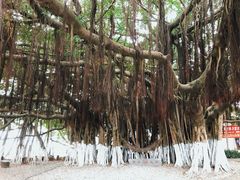 -胡里山炮台
