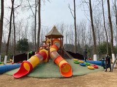 -合肥滨湖国家森林公园