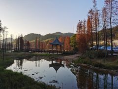 -广州市石门国家森林公园