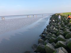 -南汇嘴观海公园