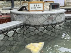 -碧水湾温泉