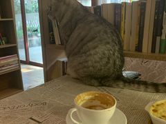 -隅cafe(傅厚岗店)