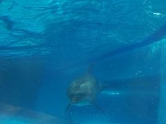 -波塞冬旅游度假区