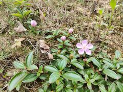 -中国移动南方基地