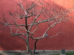 -北京市劳动人民文化宫(太庙)