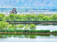 -野鸭湖国家湿地公园