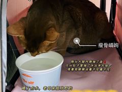 -北京佳信宠物医院