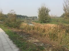 -洨河生态公园