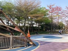 -海珠儿童公园