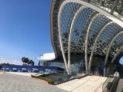 -马陆小张葡萄园农家乐