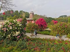 -东莞植物园