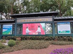 -合肥滨湖国家森林公园