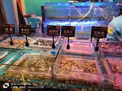 -领鲜活海鲜榴莲自助火锅(东门店)
