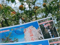 -朱雀国家森林公园