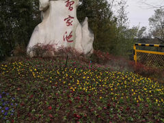 -习家池