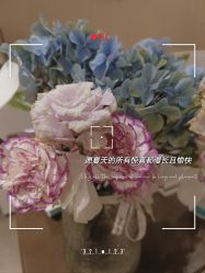 -Oasis Beauty水磨坊科技美肤中心