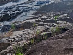 -广州白江湖森林公园