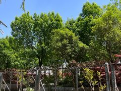 -济南国际园博园