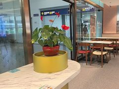 -康师傅私房牛肉面(申虹店)