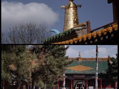 -大召寺明清一条街