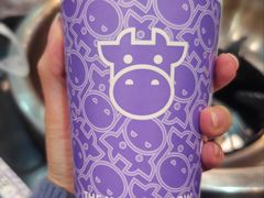 -一只酸奶牛(八一路店)