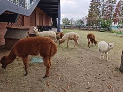 -太阳岛度假酒店