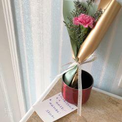 -杰爱月子护理中心