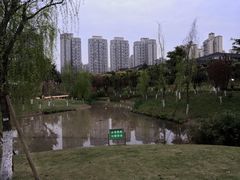 -沐仙湖湿地公园