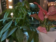 -丽丽三鲜螺蛳粉(田林路店)