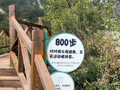 -大岭沟猕猴桃谷风景区