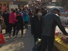 -李村大集
