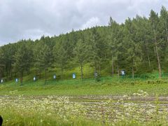 -塞罕坝国家级自然保护区