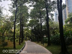 景点-广州珠江公园