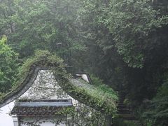 -虎跑公园